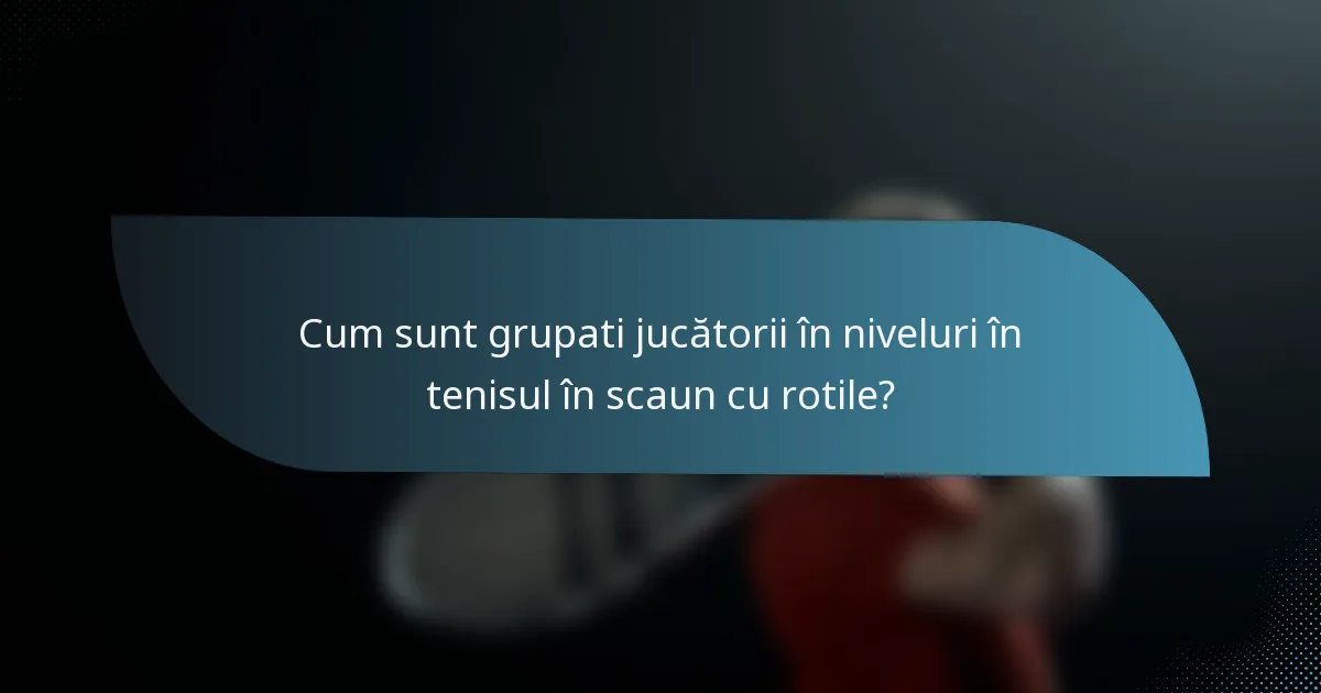 Cum sunt grupati jucătorii în niveluri în tenisul în scaun cu rotile?