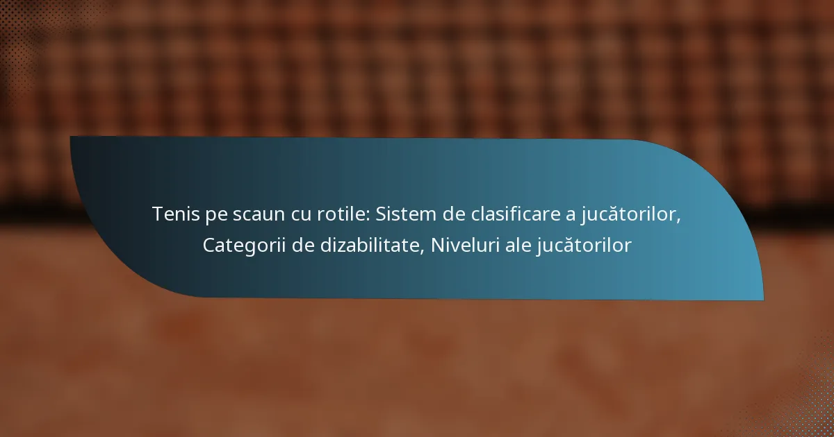Tenis pe scaun cu rotile: Sistem de clasificare a jucătorilor, Categorii de dizabilitate, Niveluri ale jucătorilor